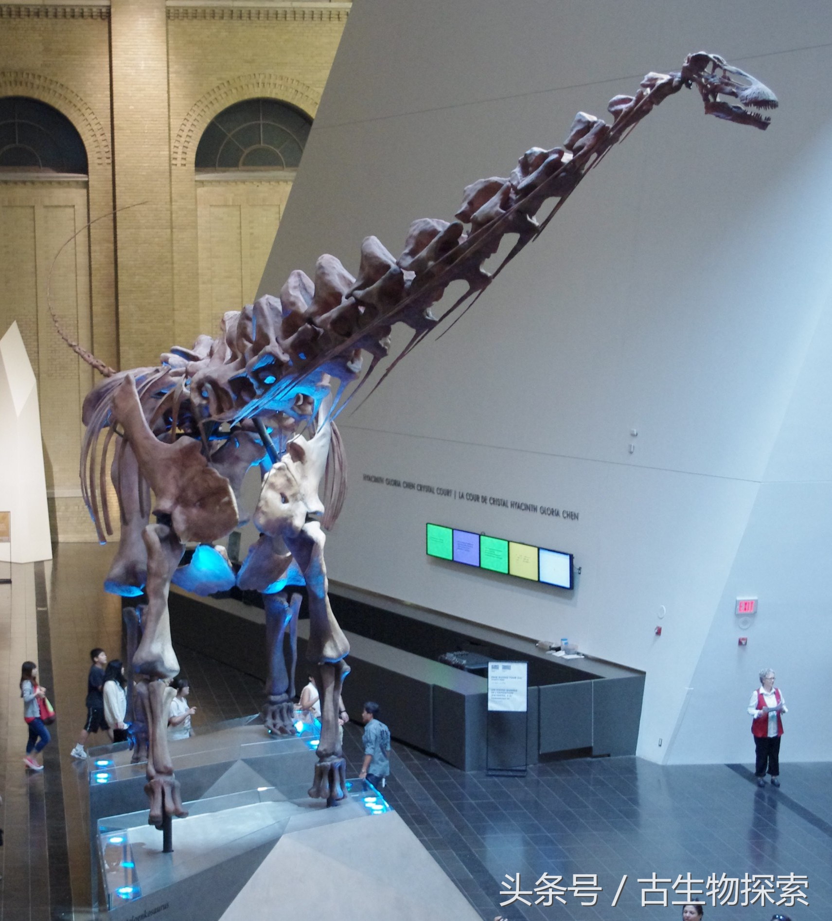 能源巨龙——富塔隆柯龙