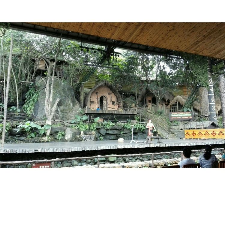 海南之旅感悟,海南行的点滴回忆