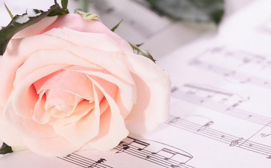 18朵玫瑰代表什么花语,78支玫瑰花的花语