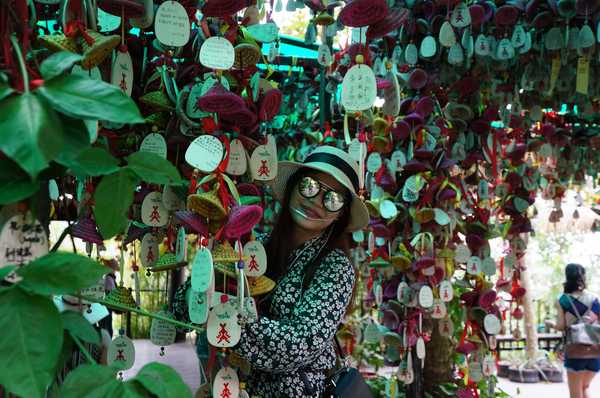 呀诺达热带雨林公园票价,呀诺达热带雨林景区官网