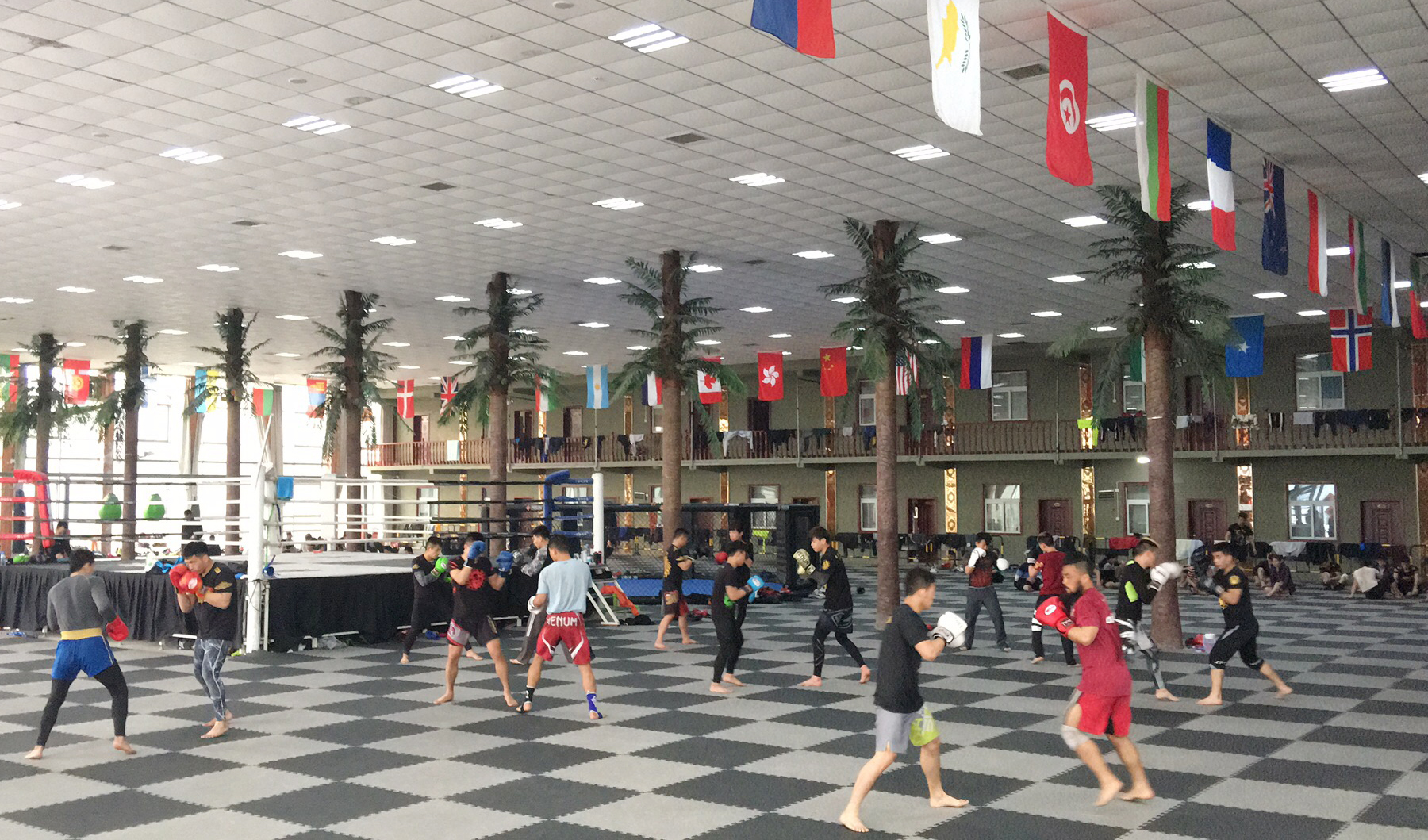 中国搏击能打过日本吗,中国搏击是世界最厉害的吗