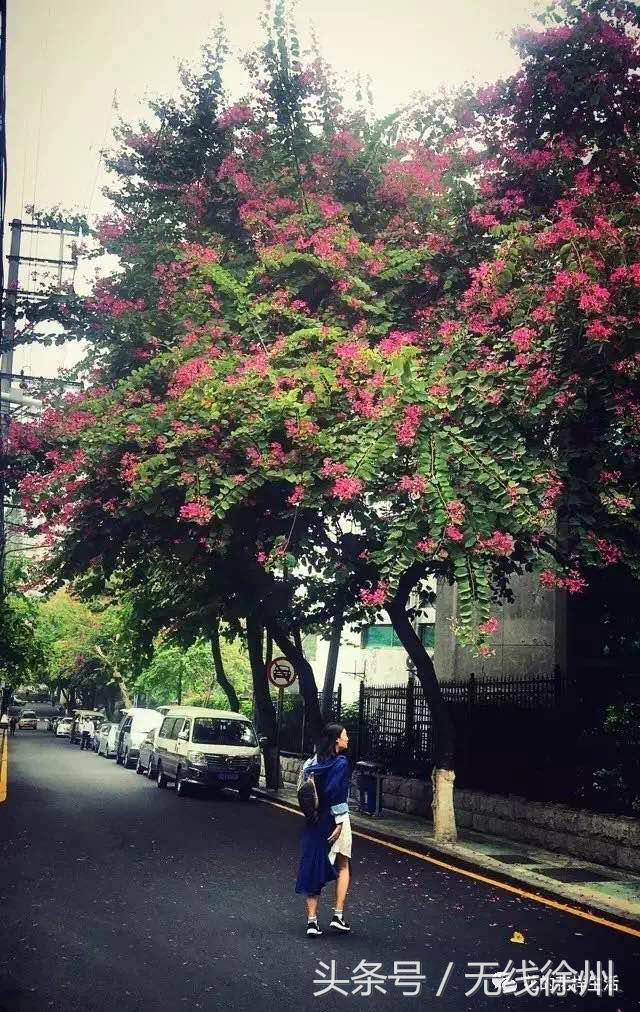 花爷的农村生活,花爷的乡间生活