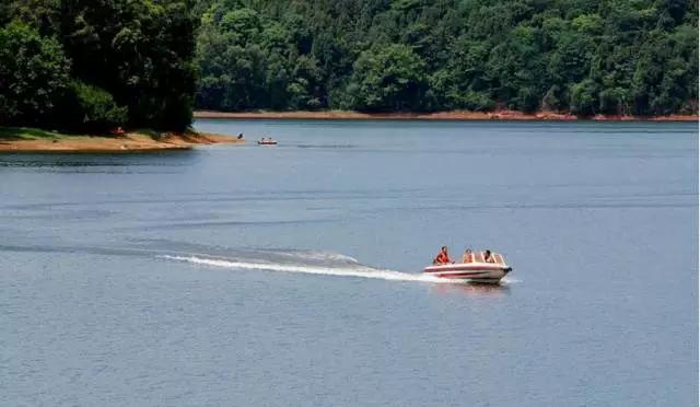 成都附近一小时氧吧,成都周边森林免费氧吧推荐