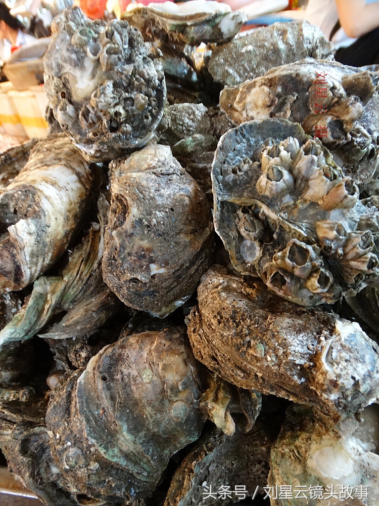 三亚哪里海鲜市场的品种多,三亚海鲜品种大全及介绍