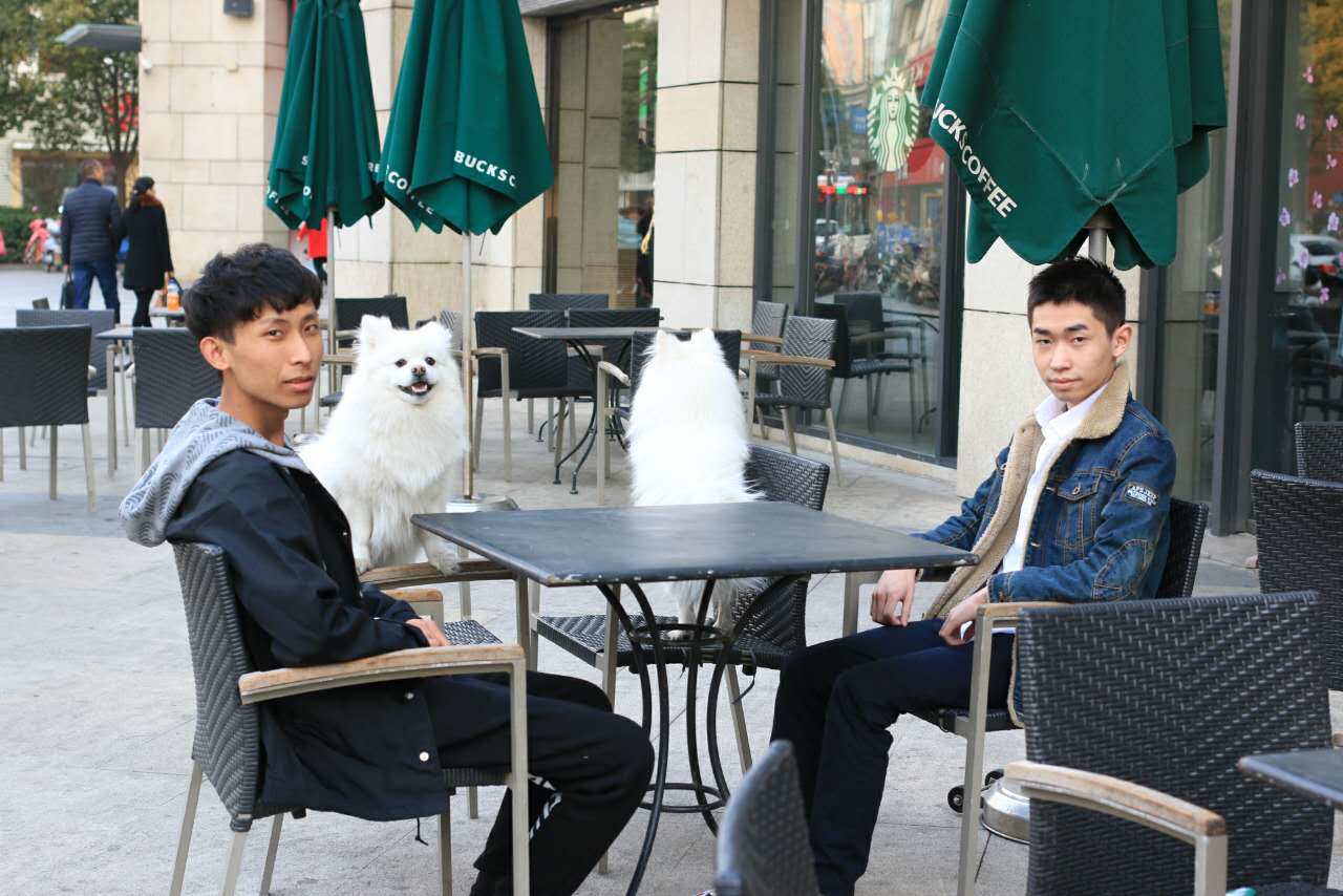 梦泪王者荣耀ag超玩会kpl比赛视频,2020秋季赛ag梦泪有回到kpl吗