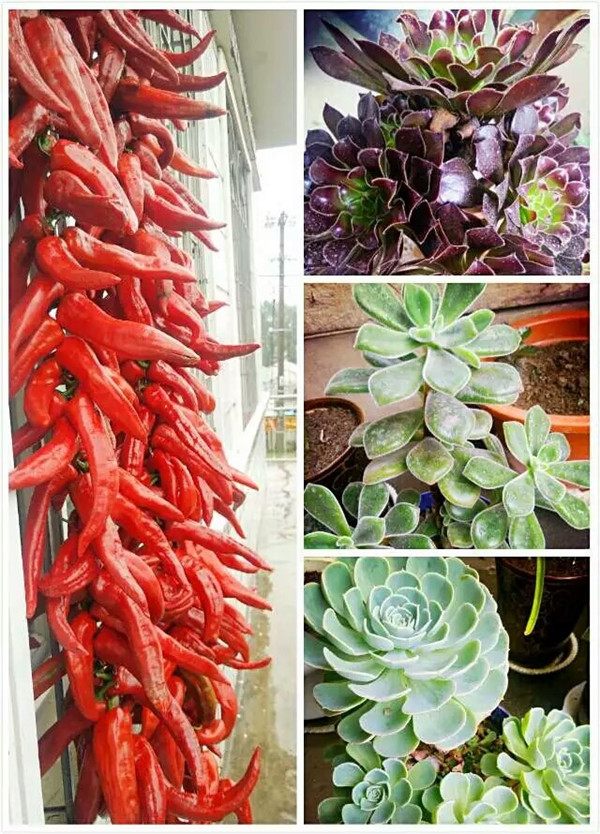 一个脚气患者的真实故事,关于癣有趣的故事