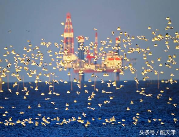 京津周边游玩景点推荐,京津冀附近人少风景好的旅游胜地