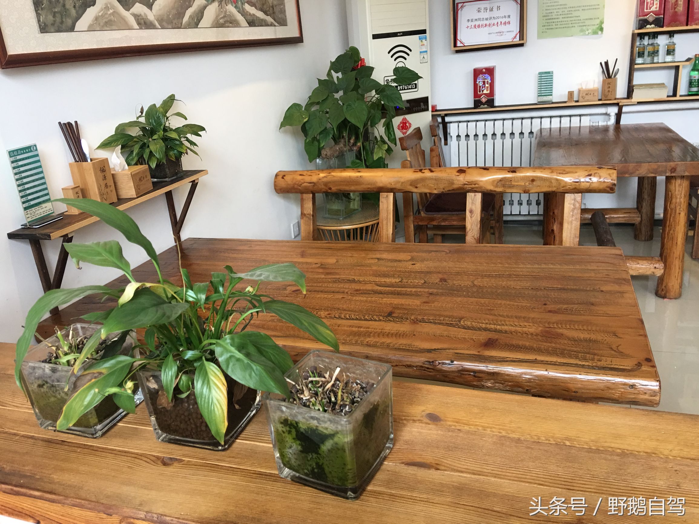 八达岭野生动物园野兽区,八达岭动物园自驾攻略大全