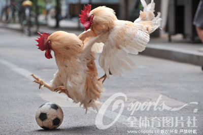 足球十大经典笑话,足球笑话100个