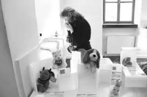 你有听说过失恋博物馆吗？