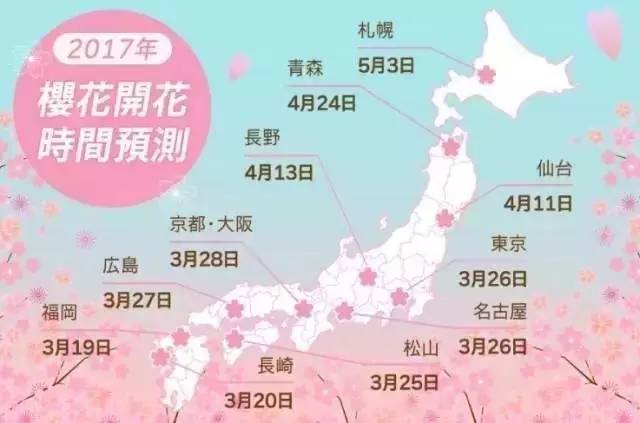 又到一年赏樱时,又到赏樱花拍照季节