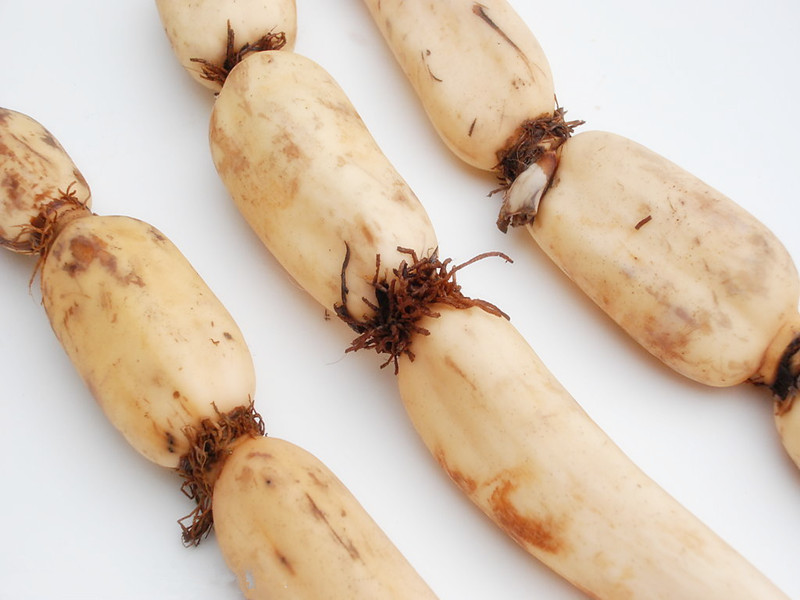 孕妇不可以吃的蔬菜,孕妇禁吃十大蔬菜排名