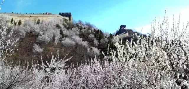 四月白菜价机票全在这了！从长春出发，最低只要129元！