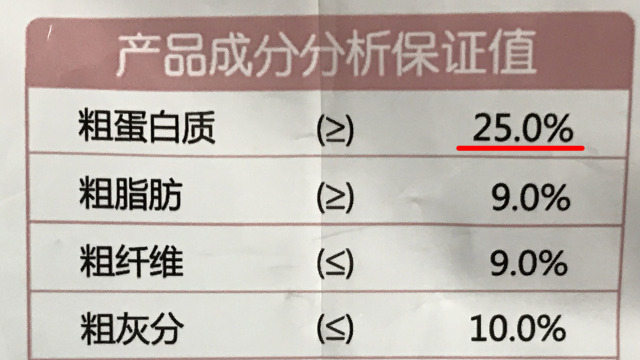 猫奴吐槽完整版,吐槽猫奴的视频