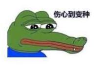 边牧这么聪明为什么很少人养,边牧太胆小了什么都教不会