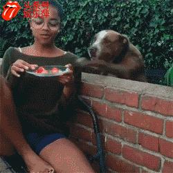 比特不都应该是这样的么？吃草莓那个是什么鬼