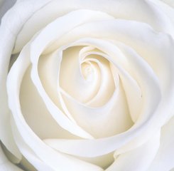 白带异常是宫颈癌吗,白带异常是宫颈炎吗