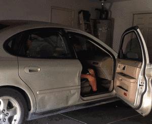 这就是你健身第二天的样子,为什么练完腿第二天很累