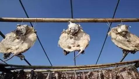 你造吗,你造吗广东语什么意思