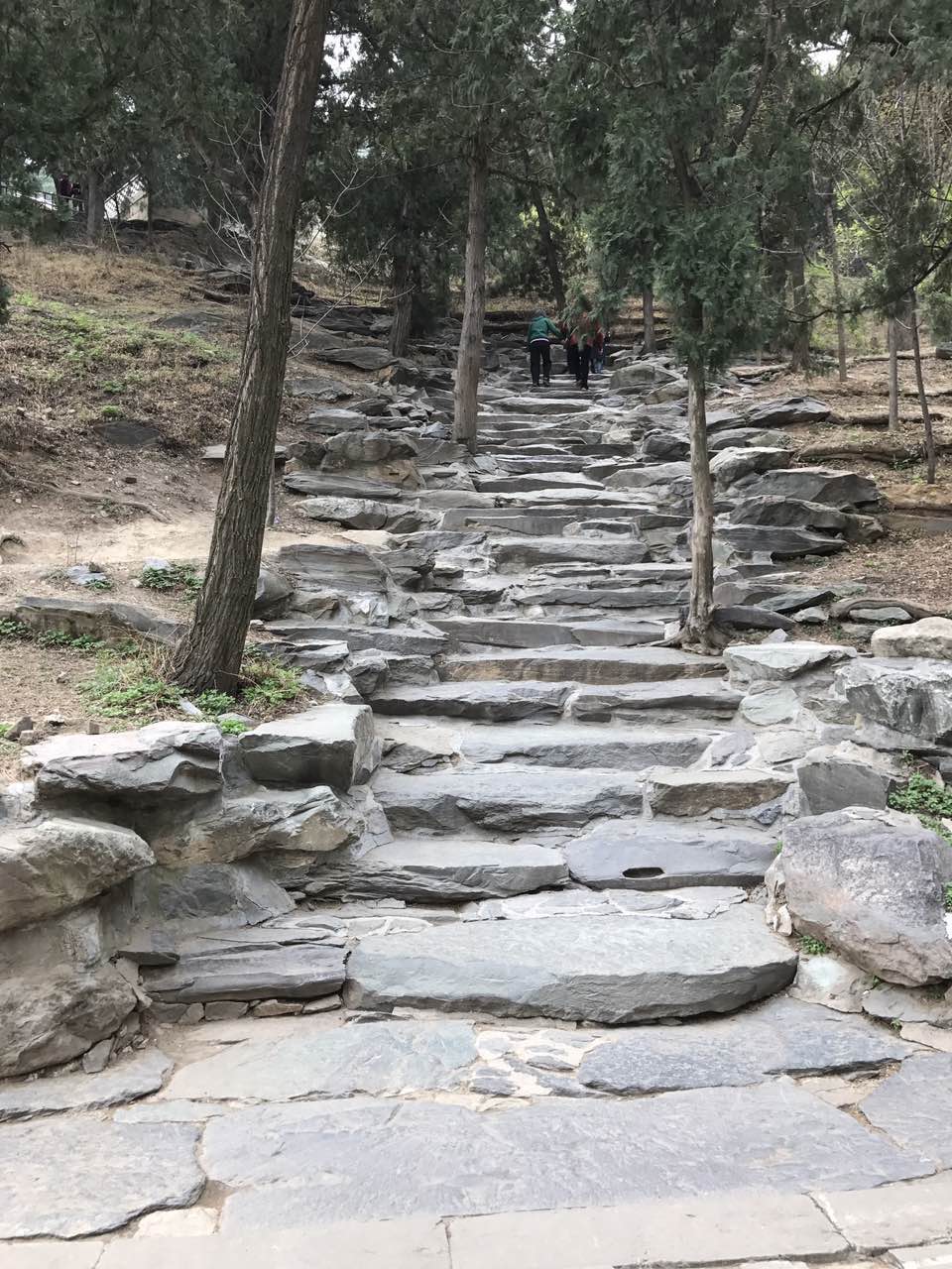 零基础可以学中医师吗,成为中医师应该具备的条件有哪些