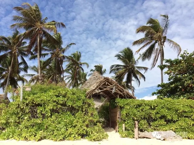 一生必去一次的非洲坦桑尼亚｜回归狂野