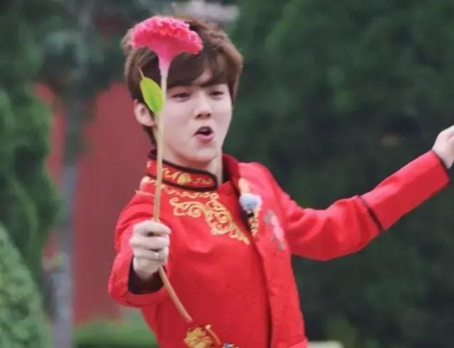 邓超和鹿晗真的是父子关系吗,邓超和鹿晗真的是亲生父子吗