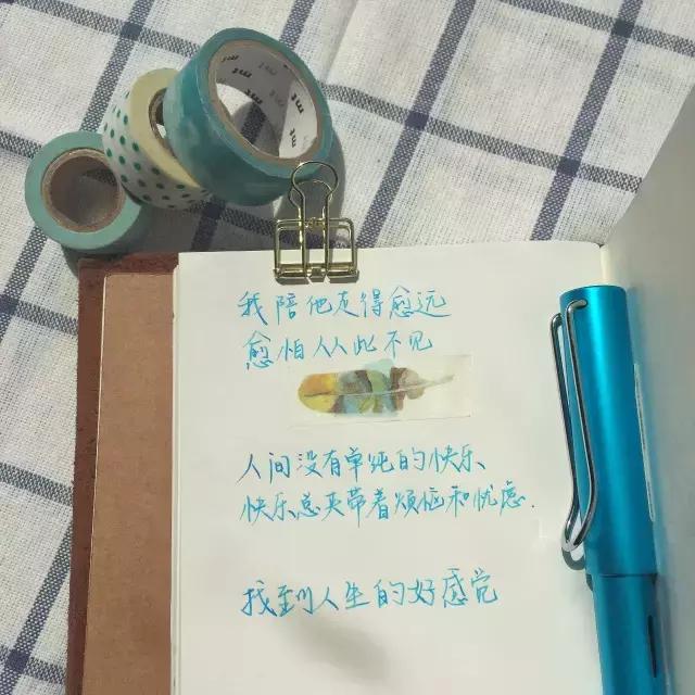 lamy钢笔恒星太平洋蓝,lamy限量版有哪些颜色