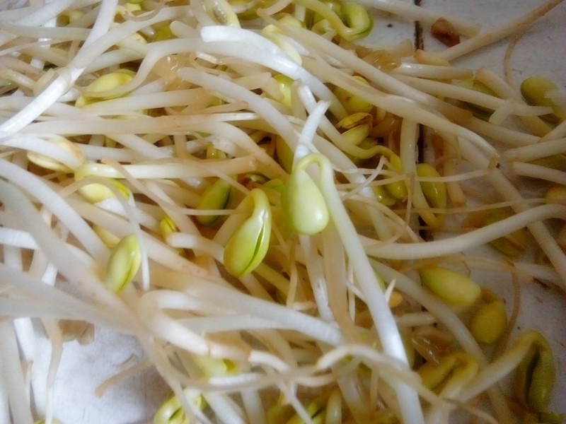 孕妇不可以吃的蔬菜,孕妇禁吃十大蔬菜排名