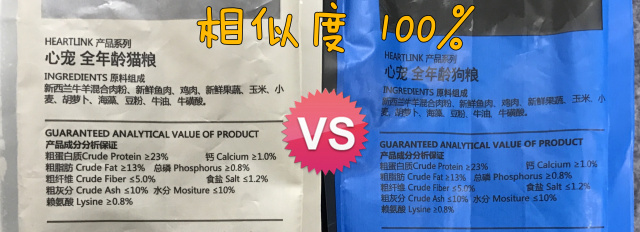 猫奴吐槽完整版,吐槽猫奴的视频