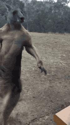 搞笑gif趣图从来没见过,搞笑gif趣图乒乓球新打法