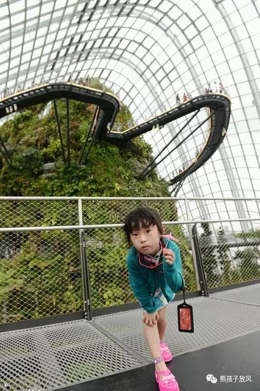 带孩子去新加坡游玩三天攻略 (带娃新加坡旅游攻略)