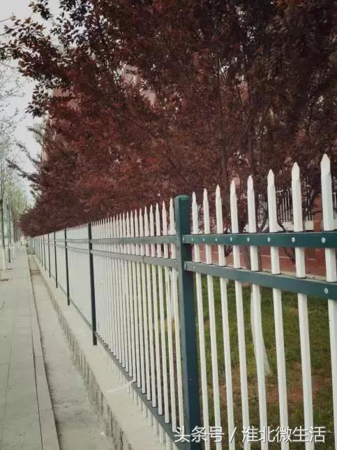 千万不要去大学城的淮师大！