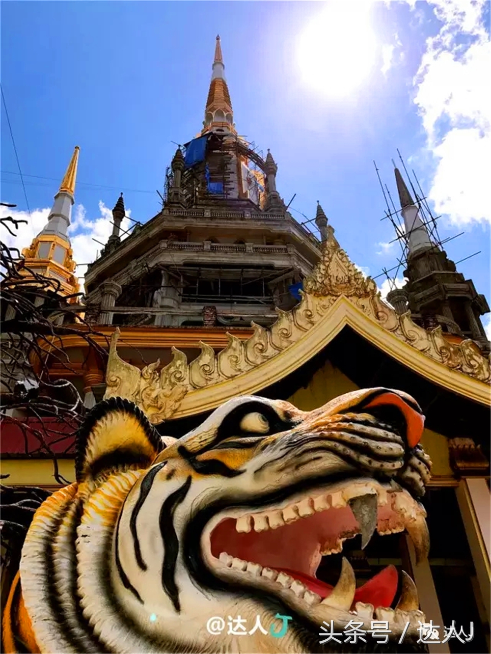 显然不适合玩婚内出轨!全泰国最大的泳池原来在这里