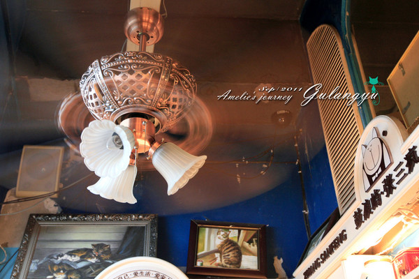 鼓浪屿旅行攻略玩乐攻略,鼓浪屿旅行攻略大全最新