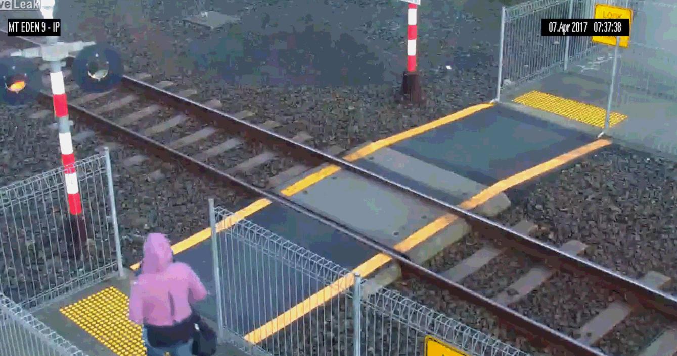 事实证明不能乱写,事实证明不要随便捡东西回家