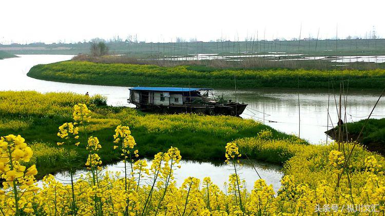 鏋炲窛灞辨按,鏋炲窛