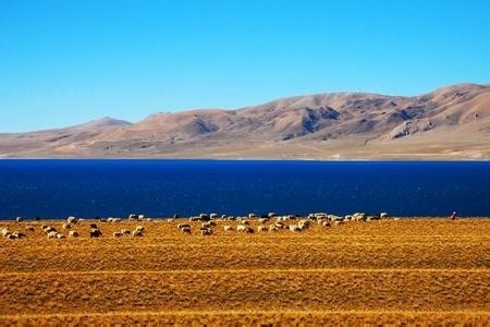 川藏线包车哪里找司机,四平川藏线自驾游包车