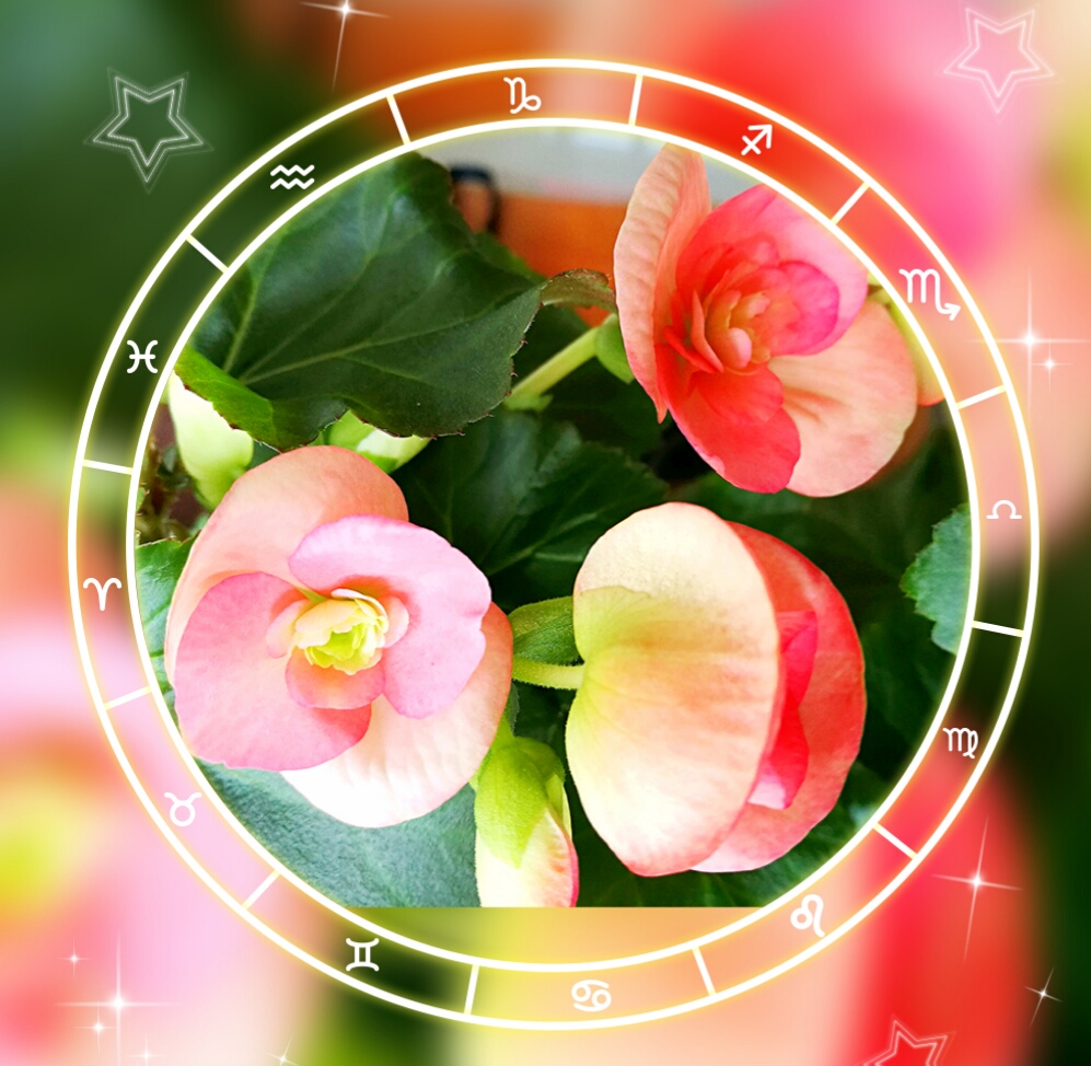 表示两面派的成语,关于两面派的成语