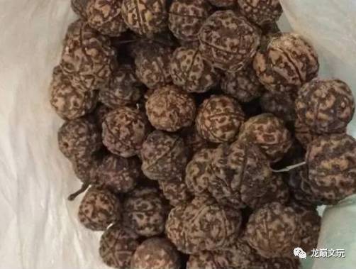 变形金刚假的冒牌货,金刚如何辨别品种和品相