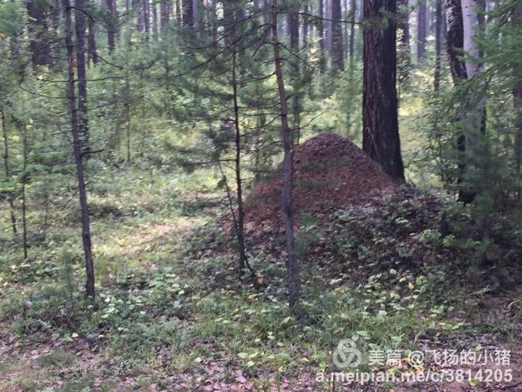 2018贝加尔湖自驾游,贝加尔湖畔自驾游全集