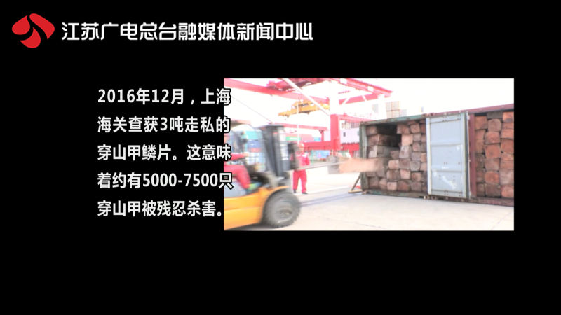 特大贩卖动物案,贩卖动物大案