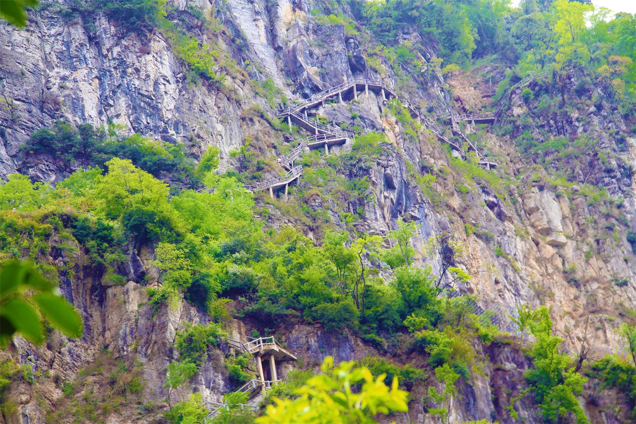 30分钟刷一次朋友圈,你多久刷一次朋友圈