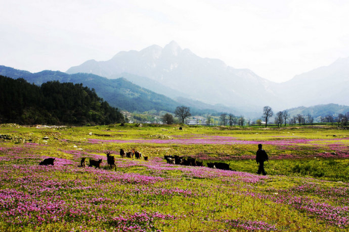 英山大别山主峰和罗田天堂寨景区,黄冈罗田大别山天堂寨旅游区美景