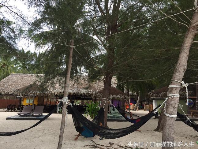 马来西亚亚庇到美人鱼岛,亚庇美人鱼岛游记