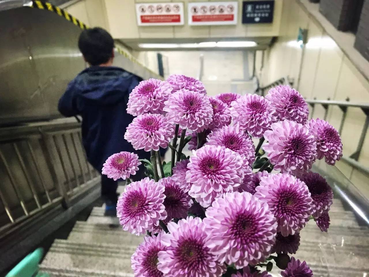 北新桥卤煮老店六里桥店怎么样,北京北新桥卤煮哪家正宗