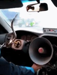 上班就像一条虫,上班是条虫下班是条龙壁纸