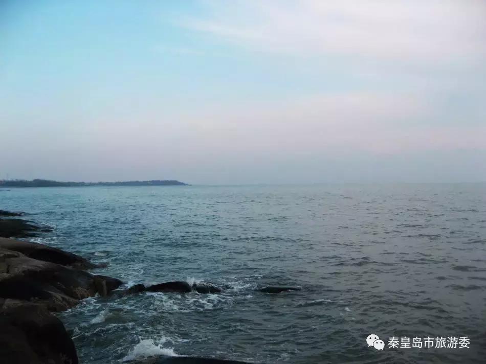 给所有秦皇岛人,这里有一份春天请你查收!