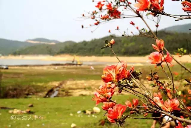 驴游记照片,驴游记全部视频