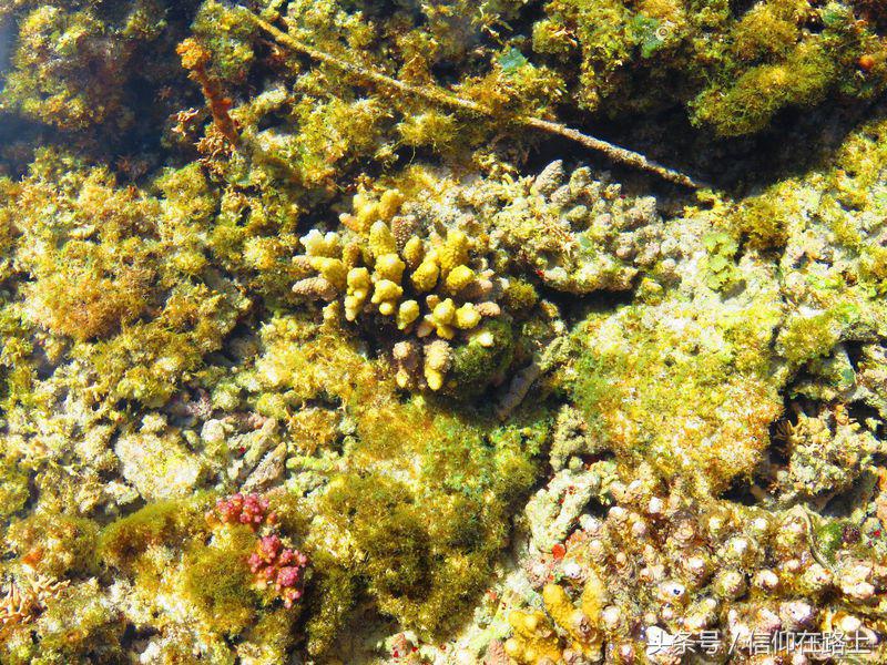 塞班岛10天旅游,塞班岛机场旅游攻略