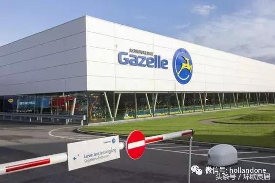 单车王国！荷兰三大知名自行车品牌或合体，Accell股价飙升